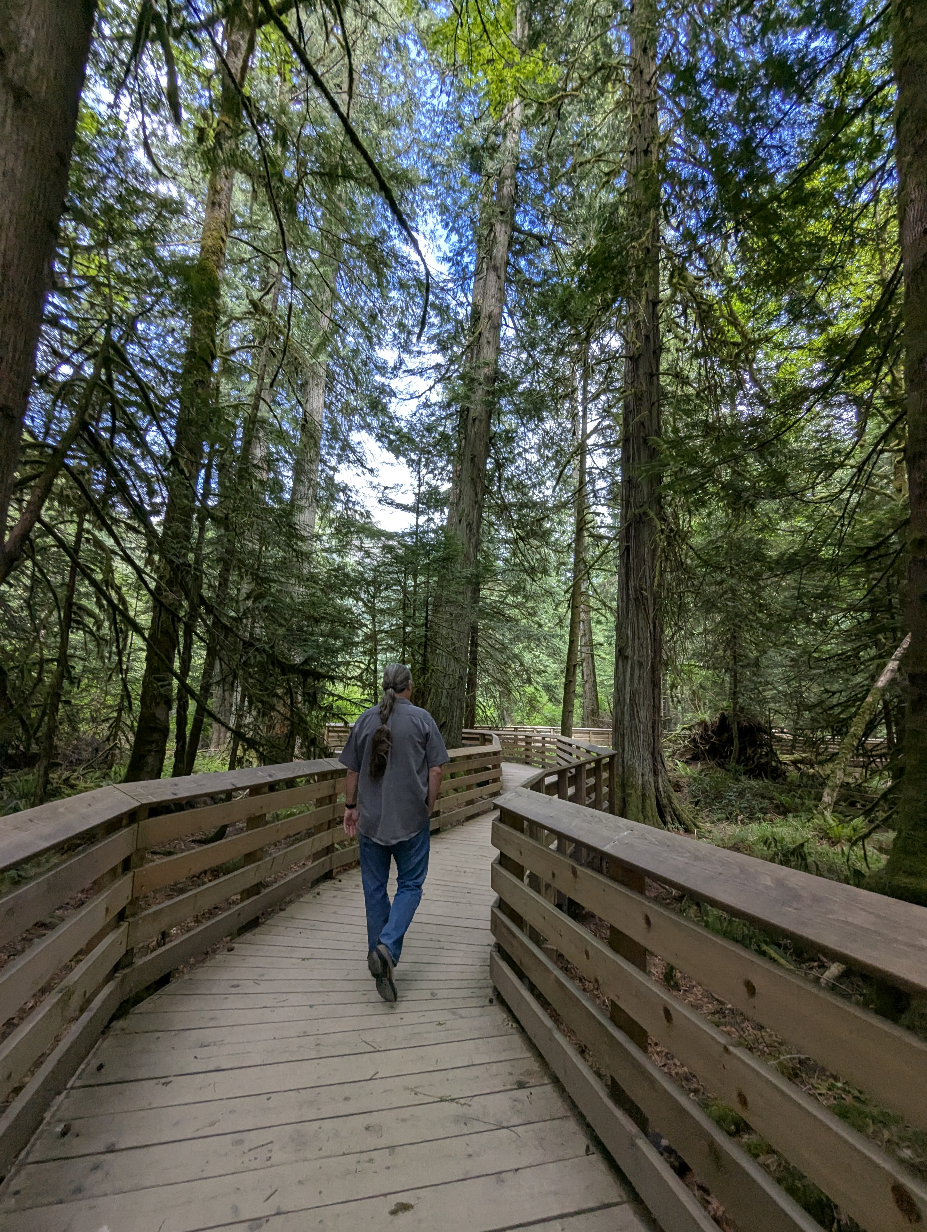 Birthday Trip to Canada, Cathedral Grove, Vancouver Island